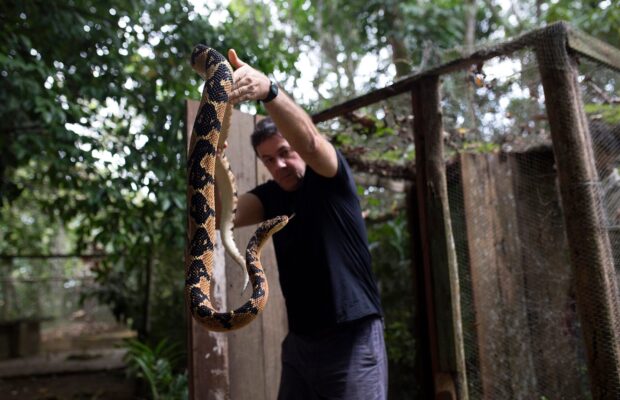 Investigadores de la red hablan de la importancia biomédica de serpientes endémicas de Brasil en Time Magazine.